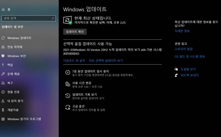 윈도우10 선택적 업데이트 KB5000842