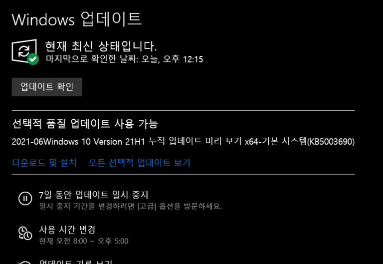 윈도우10 6월 선택적 업데이트 KB5003690