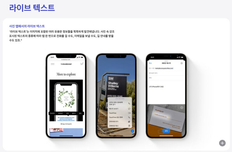iOS 15 라이브 텍스트 기능 켜는 방법