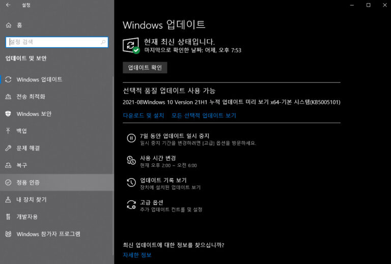 윈도우10 8월 선택적 업데이트 KB5005101 – 빌드 19043.1202