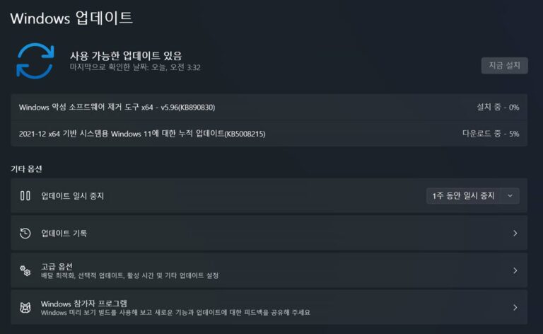 윈도우11 12월 업데이트 KB5008215 - 빌드 22000.376