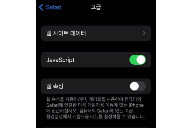 애플 사파리 보안 버그 - 구글 계정 정보 누출 가능