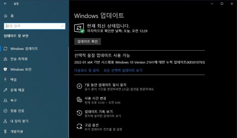 윈도우10 1월 선택적 업데이트 KB5010793