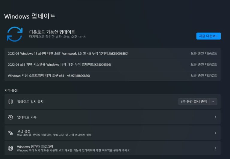 윈도우11 1월 KB5009566 업데이트 - 빌드 22000.434