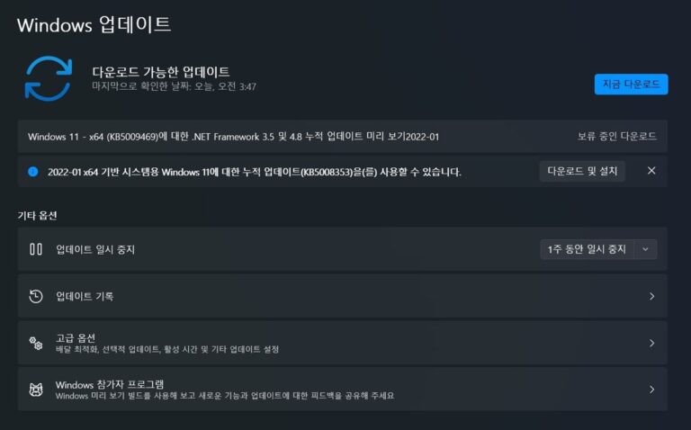 윈도우11 1월 선택적 업데이트 KB5008353 - 빌드 22000.469
