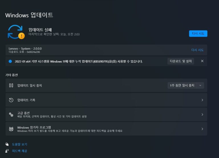 윈도우11 1월 선택적 KB5010795 업데이트 – 빌드 22000.438