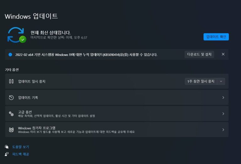 윈도우11 2월 선택적 업데이트 KB5010414 - 빌드 22000.527