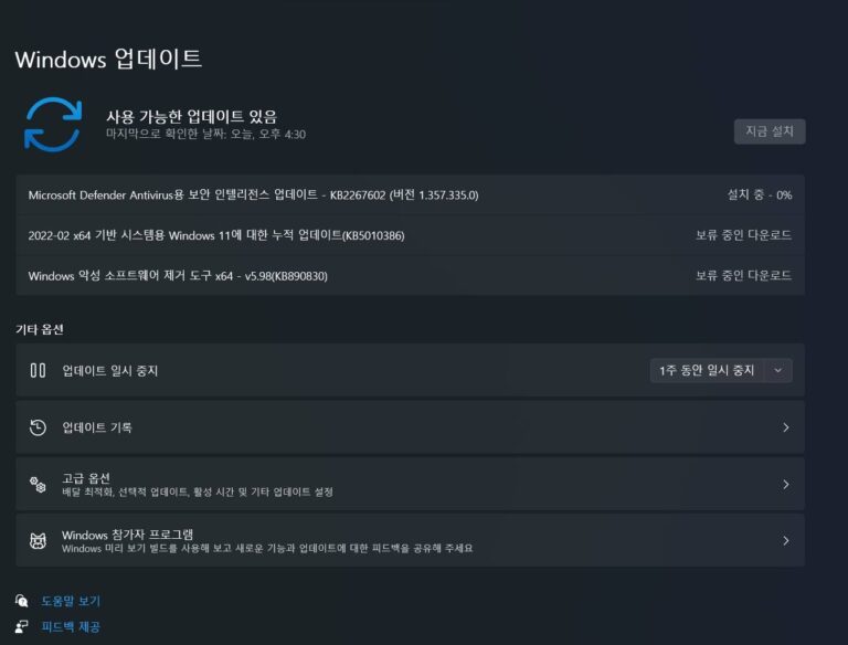 윈도우11 2월 업데이트 KB5010386