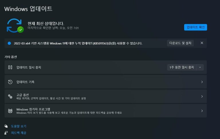 윈도우11 3월 선택적 업데이트 KB5011563