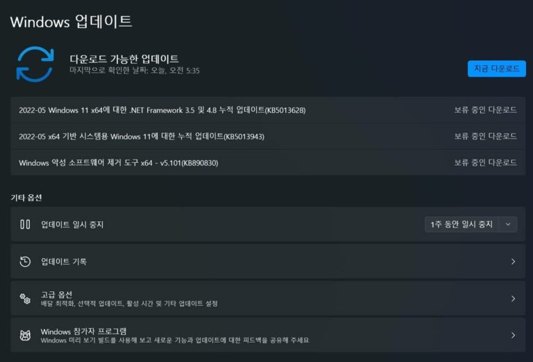 윈도우11 5월 업데이트 KB5013943 - 빌드 22000.675