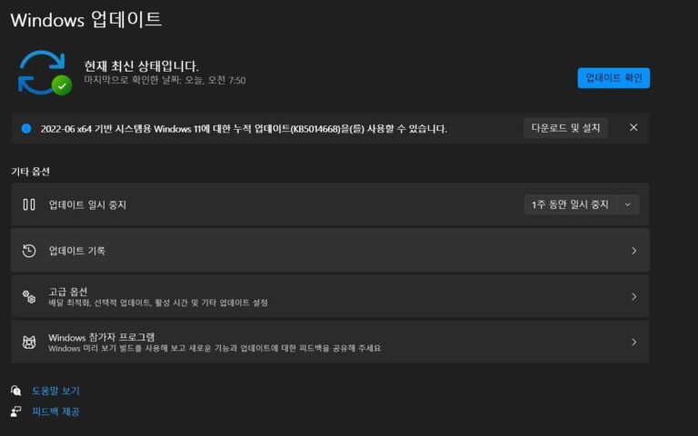 윈도우11 6월 선택적 업데이트 KB5014668 - 빌드 22000.778