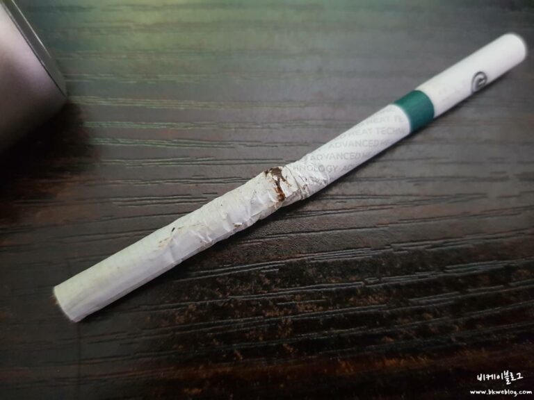 글로 프로 단점