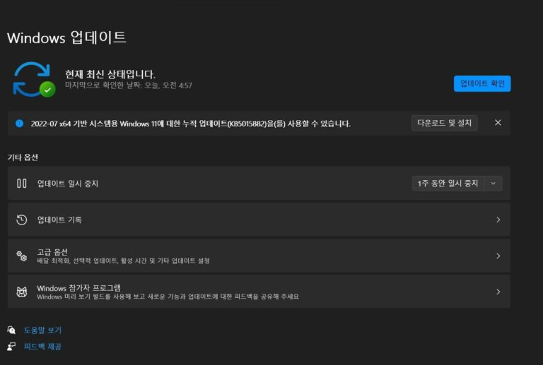 윈도우11 7월 선택적 업데이트 KB5015882 - 빌드 22000.832