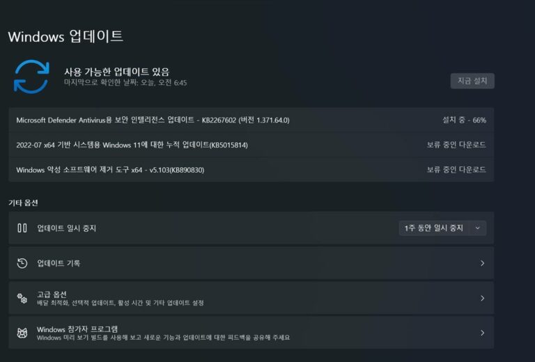 윈도우11 7월 업데이트 KB5015814 - 빌드 22000.795