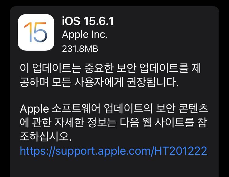 애플 iOS 15.6.1 업데이트 배포 - 보안 패치
