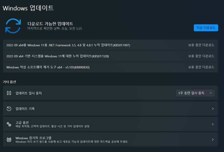 윈도우11 9월 업데이트 KB5017328 - 빌드 22000.978