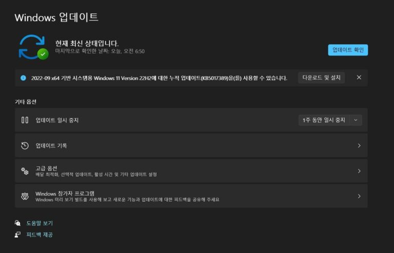 윈도우11 9월 선택적 업데이트 KB5017389 - 빌드 22621.608