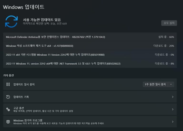 윈도우11 11월 업데이트 KB5019980 - 빌드 22621.819