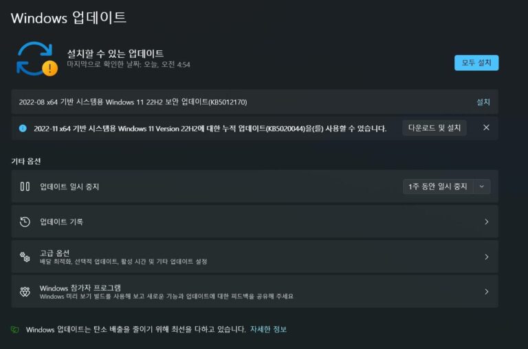 윈도우11 22H2 11월 선택적 업데이트 KB5020044