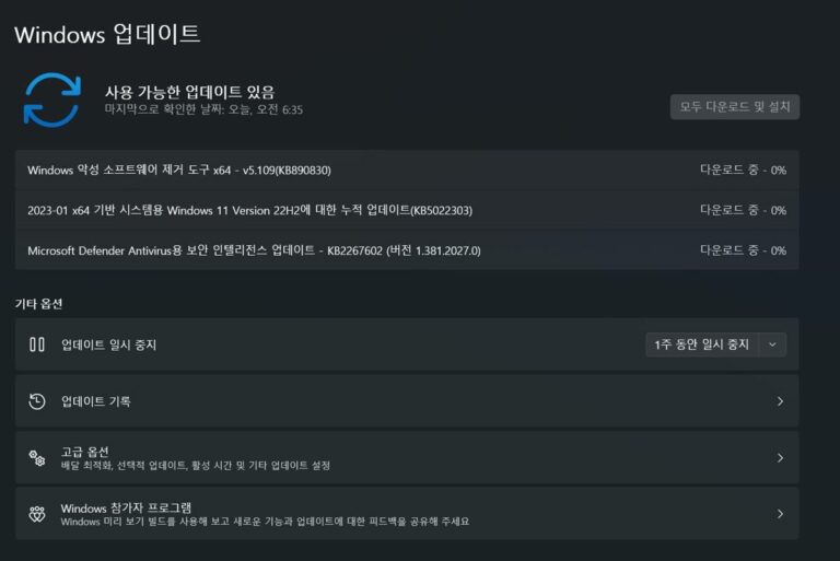 윈도우11 22H2 1월 업데이트 KB5022303