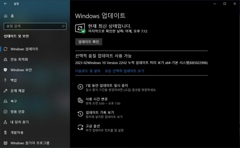 윈도우10 22H2 2월 선택적 업데이트 KB5022906