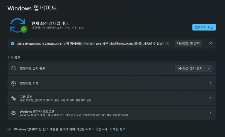윈도우11 22H2 4월 선택적 업데이트 KB5025305
