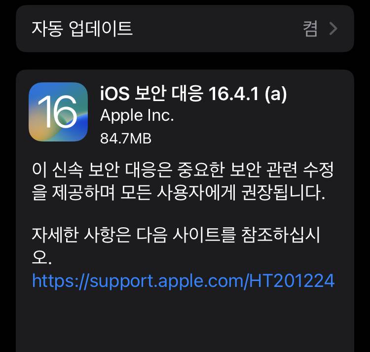 iOS 16.4.1 (a) RSR 업데이트 배포
