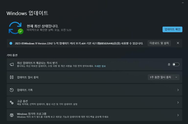 윈도우11 22H2 5월 선택적 업데이트 KB5026446