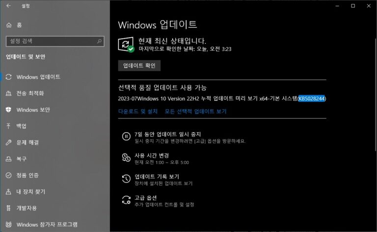 윈도우10 22H2 7월 선택적 업데이트 KB5028244