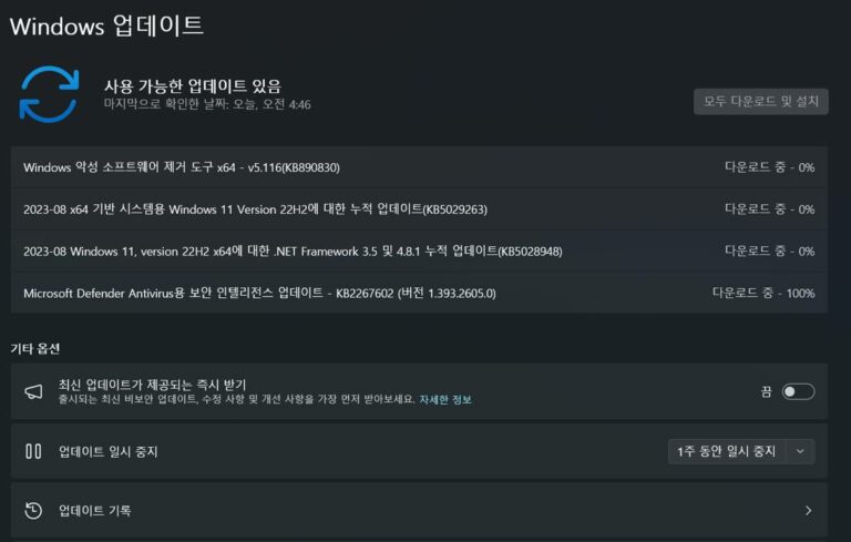 윈도우11 22H2 8월 업데이트 KB5029263 – 빌드 22621.2134