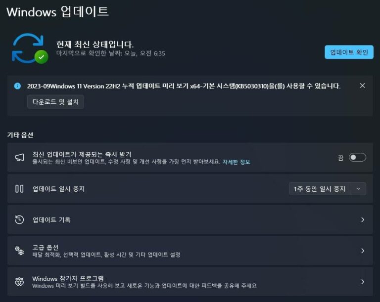 윈도우11 22H2 9월 선택적 업데이트 KB5030310