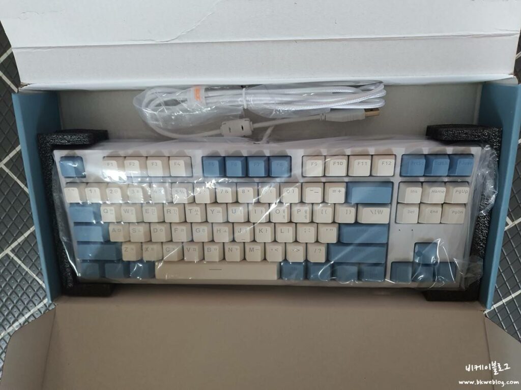 콕스 CK 기계식 키보드 갈축 (LED, 텐키리스) 구입 및 후기