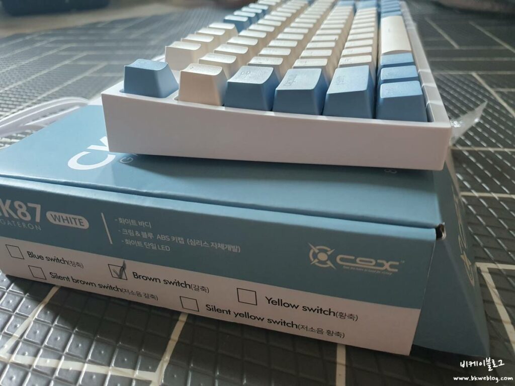 콕스 CK 기계식 키보드 갈축 (LED, 텐키리스) 구입 및 후기