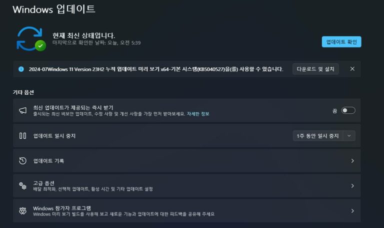 윈도우11 7월 선택적 업데이트 KB5040527