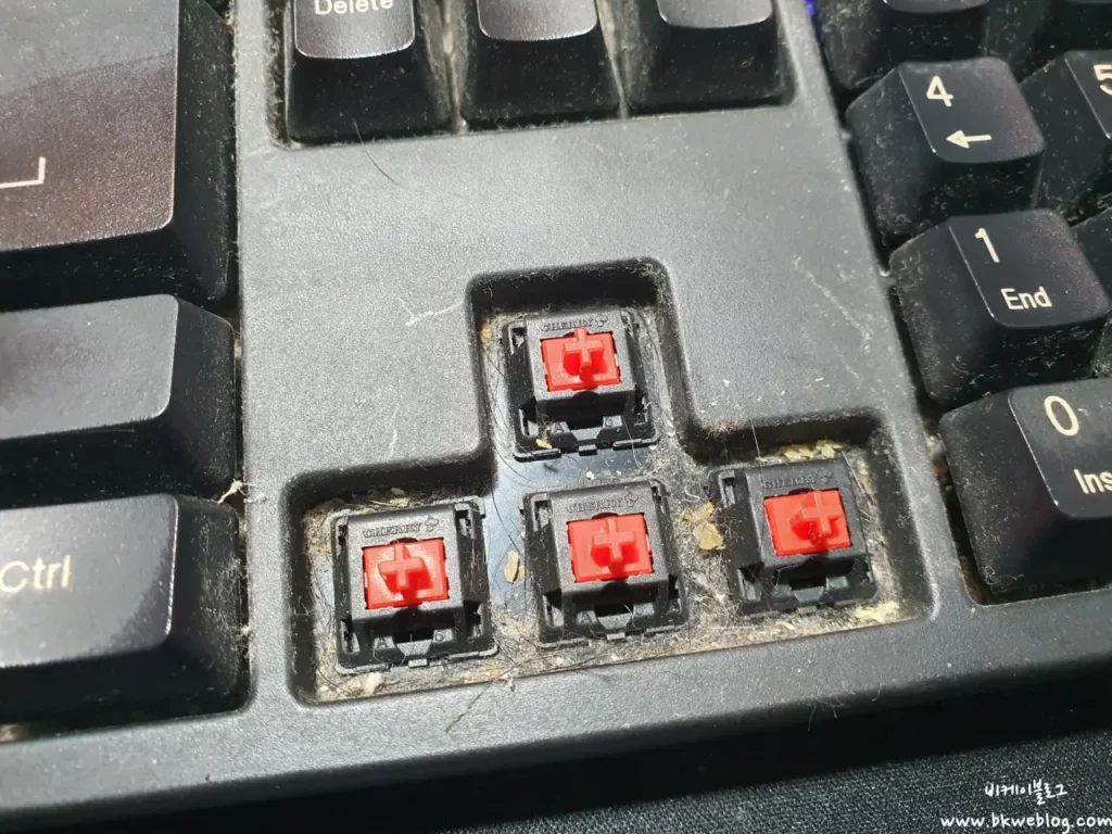 10년 넘은 키보드 청소